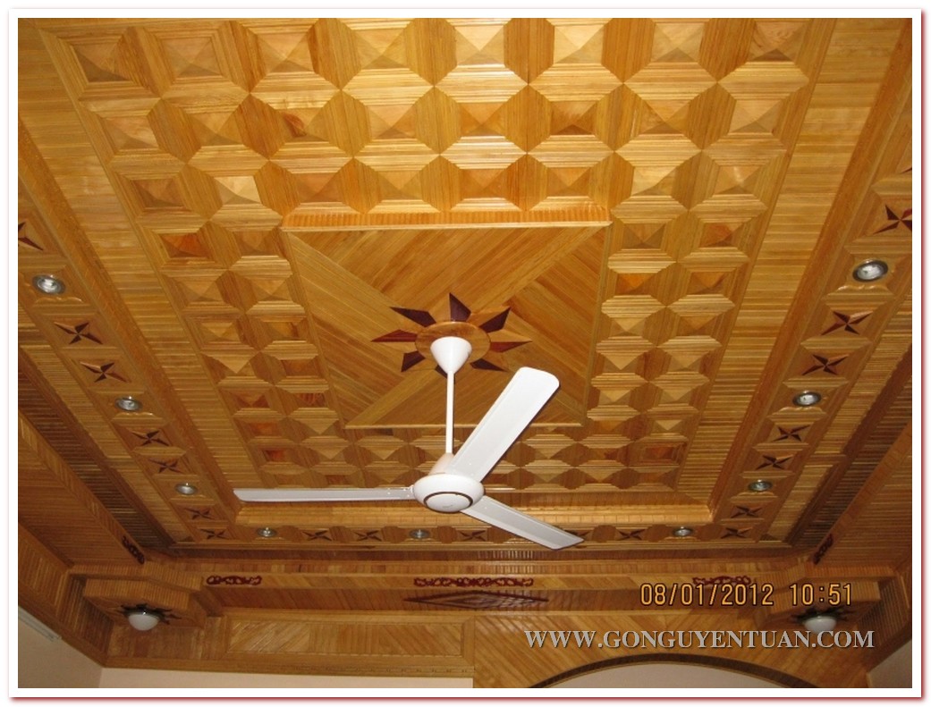 trần xoan ninh bình