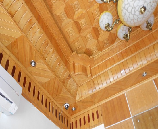 Trần xoan tại Thái Bình