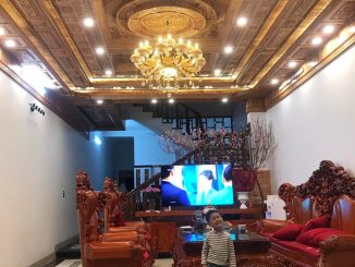 Báo giá trần gỗ xoan Ninh Bình